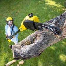 Best Emergency Tree Removal  in Grandville, MI