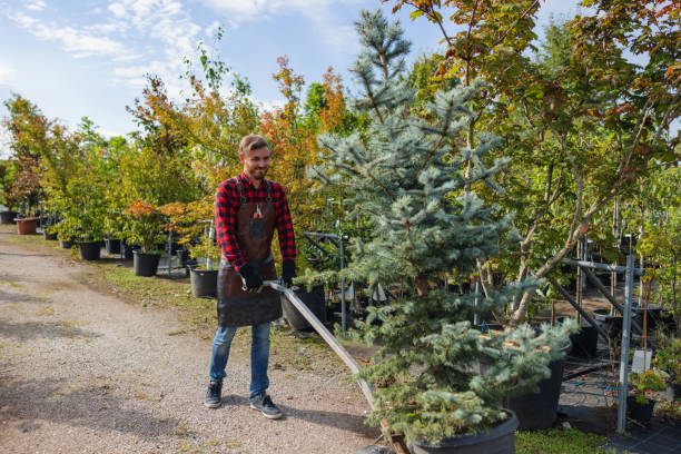  Grandville, MI Tree Services Pros